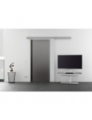 Glasschiebet&uuml;r Eco Satiniert mit Muschelgriff 249.99&nbsp;&euro;