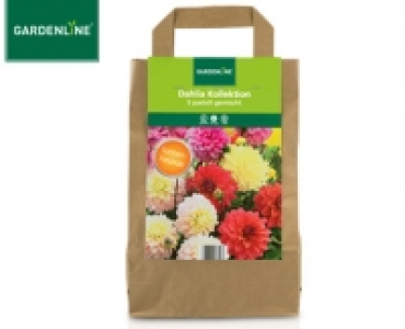 GARDENLINE® Blumenzwiebeln in der Tragetasche