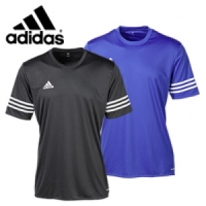 Trikot, je 15.00&nbsp;&euro;