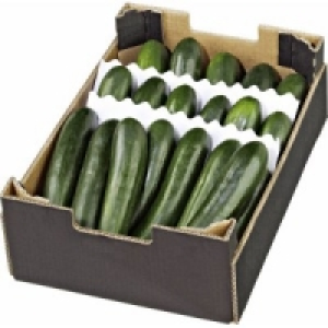 Zucchini