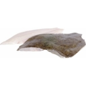 Steinbuttfilet Wildfang 29.99&nbsp;&euro;