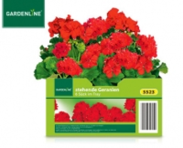 GARDENLINE®Beet- und Balkonpflanzen, 6er-Tray 2.99 €