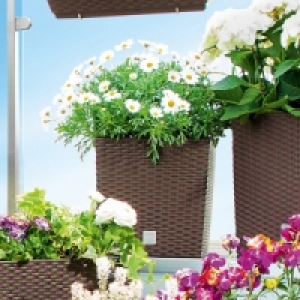 Blumentopf 9.99 €