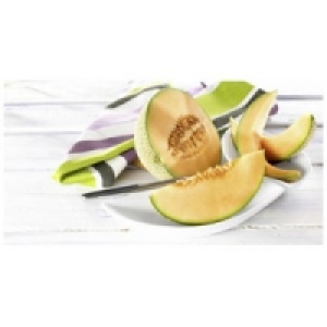 Galia-/Cantaloupemelonen