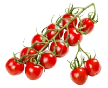 Mini-Romarispentomaten 1.45&nbsp;&euro;