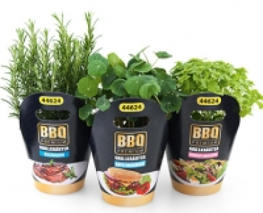 Kräutertopf Cocktail/Barbecue