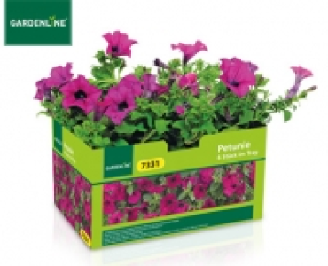 GARDENLINE®Balkon- und Kübelpflanzen