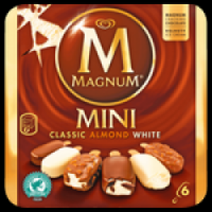 Rewe  Langnese Magnum 4er oder Mini