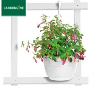 GARDENLINE&reg;Ampelpflanze, bl&uuml;hend