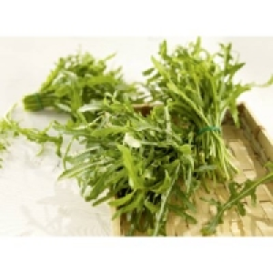 Rucola