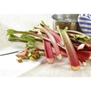 Rhabarber 1.49 €
