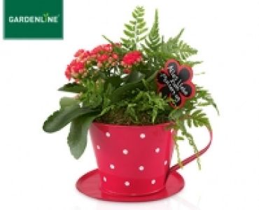 GARDENLINE&reg;Muttertagspflanzen-Arrangement