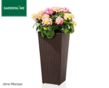 GARDENLINE®Geflecht-Pflanzsäule 19.99 €