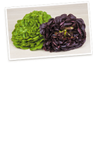 Ebl Naturkost Fränkischer Salat Salanova