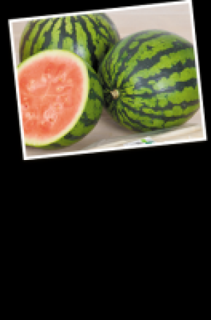 Wassermelone 1.47 €