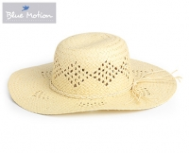 Blue Motion Sommerhut 4.99 €