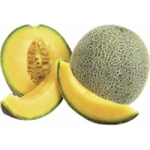 Galiamelonen