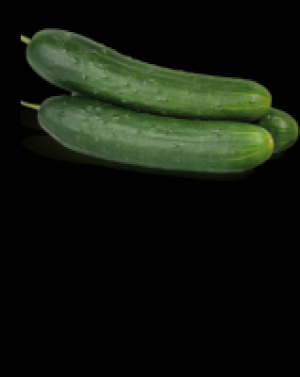 Landgurken 3.47 €