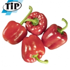 Spanien/Niederlande Paprika, rot Kennzeichnung siehe Etikett, jede 500