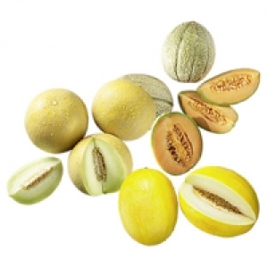 Spanien Honig- , Galia- oder Cantaloupemelonen je St&uuml;ck