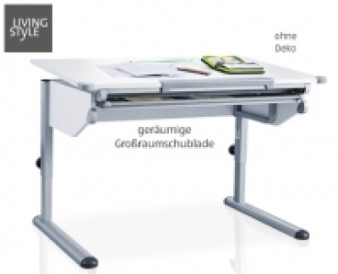 LIVING STYLE Kinder-Schreibtisch 149.00 €