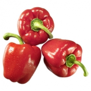 Niederlande/Spanien Paprika, rot Kennzeichnung siehe Etikett, jede 500 1.49&nbsp;&euro;