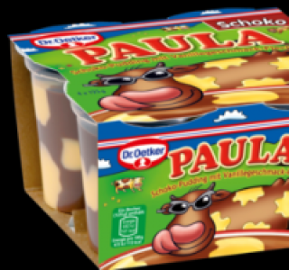 DR. OETKER Paula Pudding 1.19 €