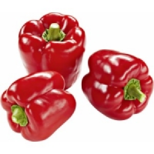 Paprika rot