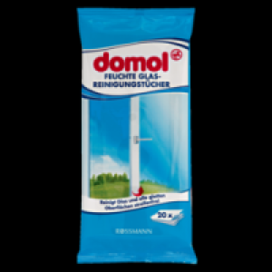 feuchte Glas-Reinigungstücher 1.11 €