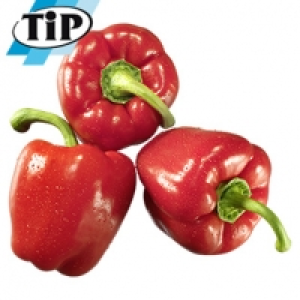 Niederlande/Spanien Paprika, rot Kennzeichnung siehe Etikett, jede 500 1.49&nbsp;&euro;