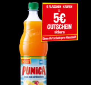 PUNICA Fruchtsaftgetränk 0.95 €