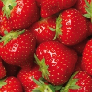Erdbeerpflanzen 0.59 €