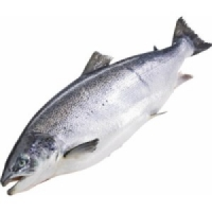 Lachs 10.99&nbsp;&euro;