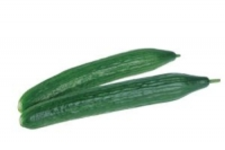 Schlangengurke 0.99 €