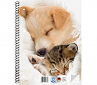 Collegeblock DIN A4 0.79&nbsp;&euro;