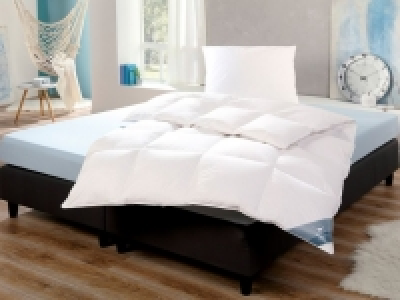 HÄUSSLING Daunen-Kassettenbettdecke warm 79.99 €