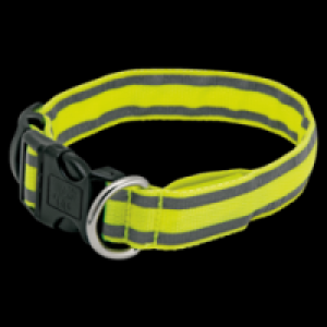Rossmann Ideenwelt LED-Hundehalsband, mini