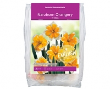 Exklusive Blumenzwiebeln