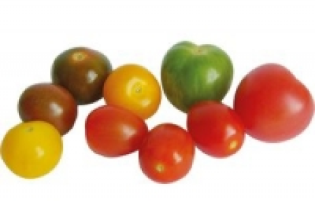Roma-Cherrytomaten 1.49 €