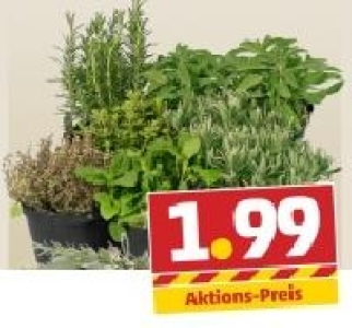 Mix aus italienischen Kr&auml;utern