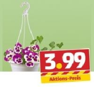 Blumenampel 3.99 €