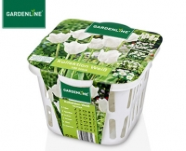 GARDENLINE®Blumenzwiebel-Mischung