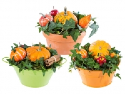 Bepflanzte Schale 5.99 €