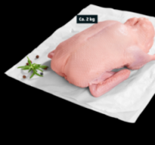 Junge Ente 3.99&nbsp;&euro;