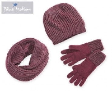 Aldi Süd  Blue Motion Winter-Accessoires