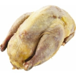 Fasane