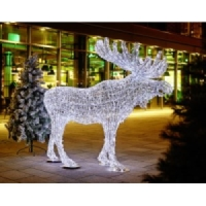 LED Acryl Elch 300 cm