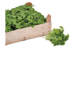 Ebl Naturkost Fränkischer Postelein-Salat