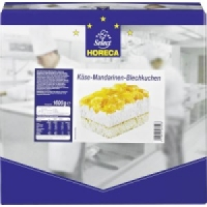 Blech-/ und Schnittkuchen