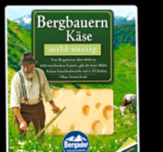 BERGADER Käsescheiben 1.55 €